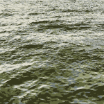 Ocean waves vector image
